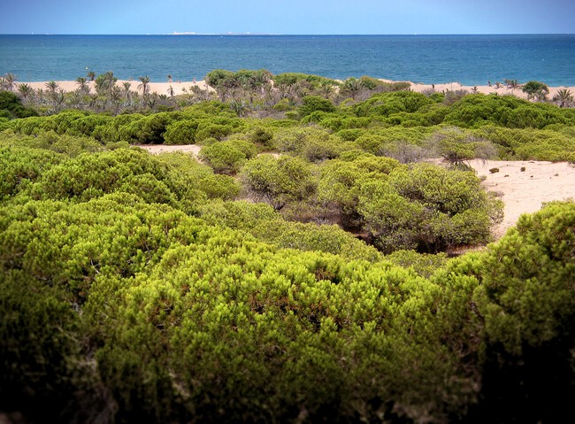 Dunas Guardamar