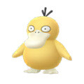Psyduck