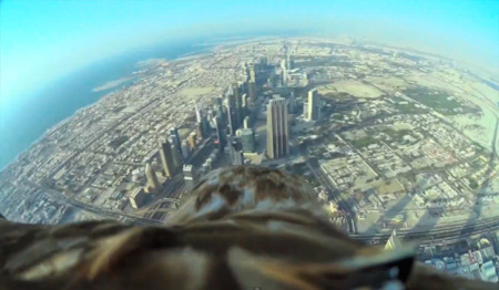 ¿Cómo se ve el edificio más alto del mundo desde el punto de vista de un águila? 