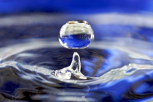 agua perder grasa