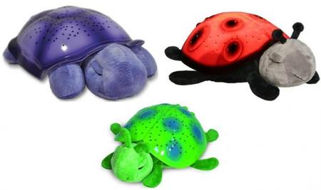Originales planetarios con forma de mariquita y tortuga