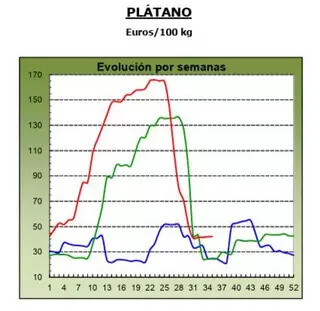 grafico evolucion precios