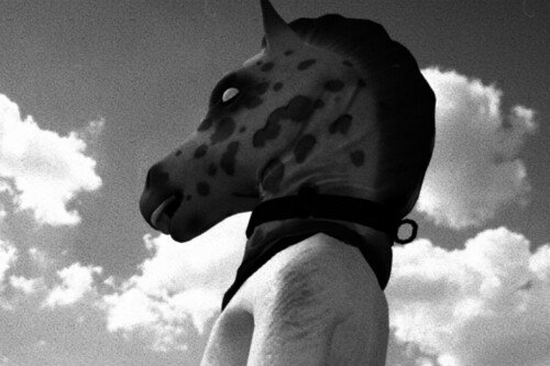 Imagen de Horses (Santa Ragione)