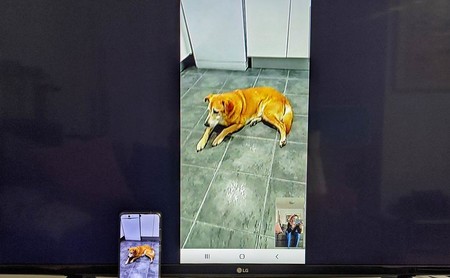 Cómo hacer videollamadas con el móvil y verlas en la televisión
