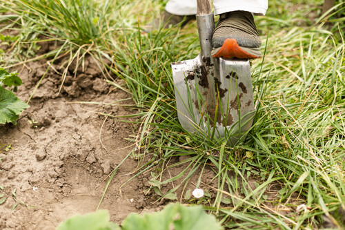 Persona De Primer Plano Cavando El Jardin
