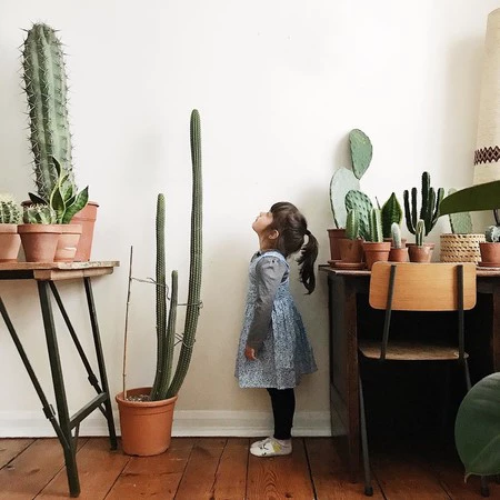 A falta de jardín llegan los "garden rooms" o el maximalismo vegetal, una de las tendencias que más triunfan en Pinterest