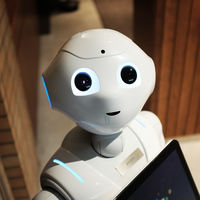 Ante la automatización, la hostelería y el comercio siguen siendo motores del empleo 