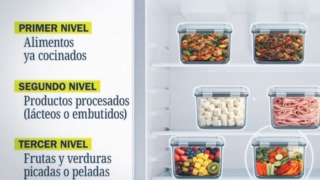 Orden De Comida En Refri