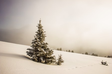 Lionello Delpiccolo 82474 Unsplash