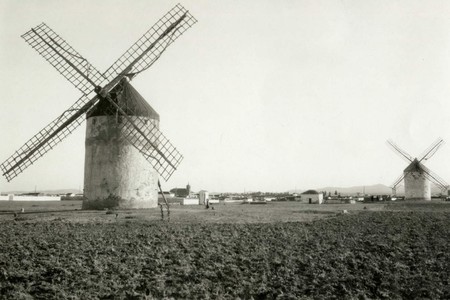 Ruta De Los Molinos Madridejos