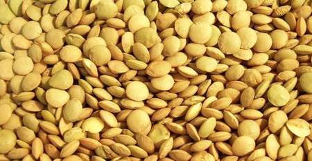 Más de la mitad de las proteínas de la dieta deben ser vegetales