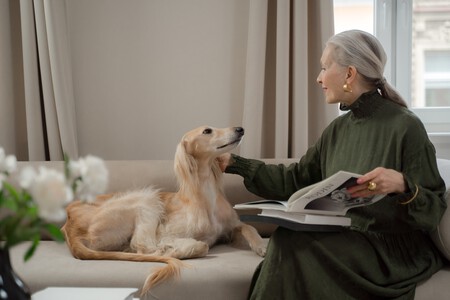 Disfunción cognitiva canina recomendaciones y diagnóstico