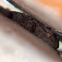 Foto 3 de 20 de la galería galeria-de-imagenes-tomadas-con-el-samsung-galaxy-s21 en Xataka Móvil