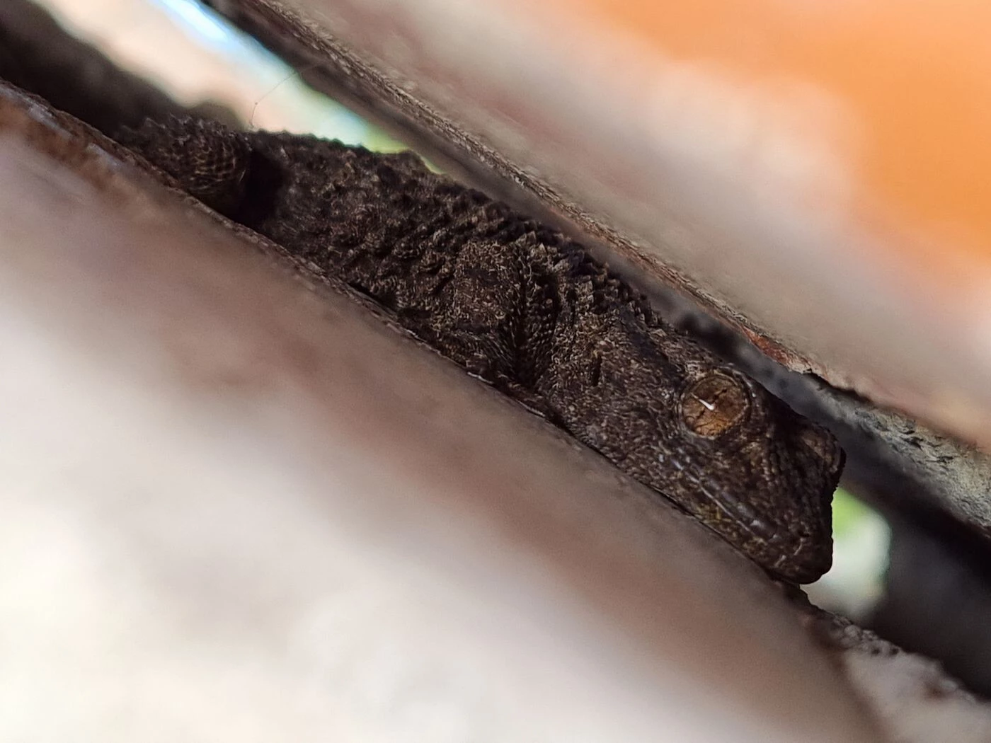 Galería de imágenes tomadas con el Samsung Galaxy S21