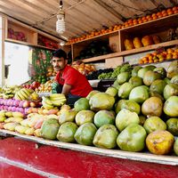 Durante milenios, la humanidad ha comido lo que tocaba. Ahora ha empezado a comer lo que quiere y eso tiene consecuencias