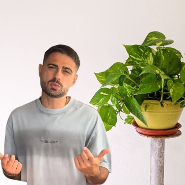 Un experto en plantas: “Tu poto no es una planta colgante. En la naturaleza crece trepando” 