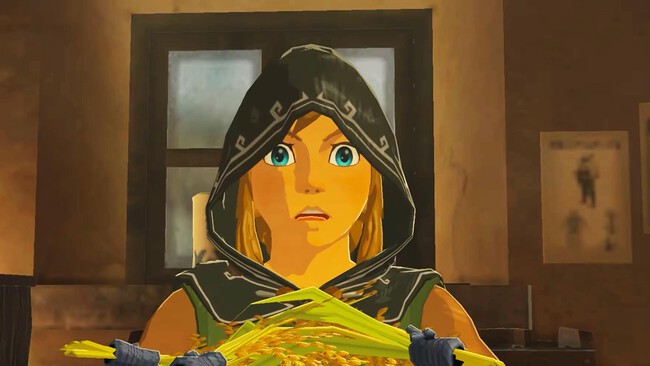 Speedrunners Zelda Truco Caricatura Olvidada