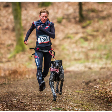 ¿Eres runner y tu perro también? El Canicross es el deporte ideal para practicar juntos 