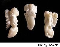 Una artista convierte en hadas los dientes de leche de los niños