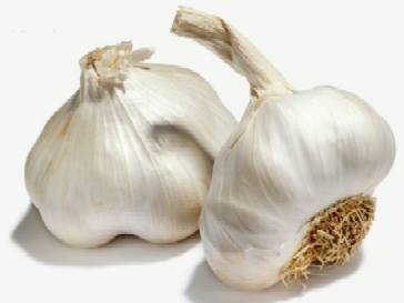 Un poco de ajo para combatir el efecto invernadero