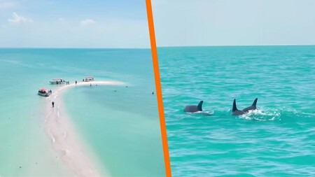 Descubre un paraíso en México que parece Tailandia: aguas turquesas, delfines y total tranquilidad para vacacionar