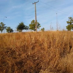 Foto 4 de 9 de la galería fotos-moto-g4-play en Xataka Android