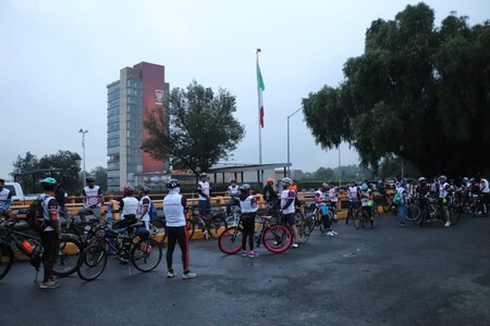 Ciclistas Reglamento Transito Semaforo Rojo