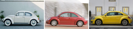 Beetle Evolucion