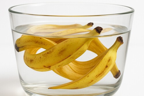 Platano