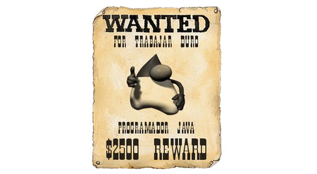 Los programadores Java serán de los profesionales más demandados en el 2012