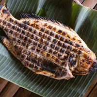 ¿Cuándo empezó a "cocinar" el ser humano? La respuesta la tienen unas carpas de hace 780.000 años