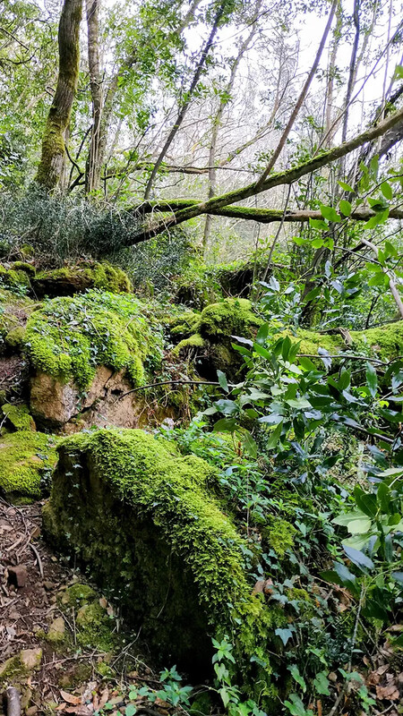 Cuevas Andia