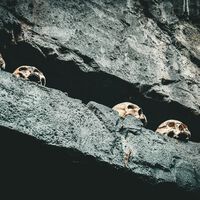 Cada vez que pienses que estás comiendo fatal últimamente, piensa en estos neandertales que se comían a sus vecinos