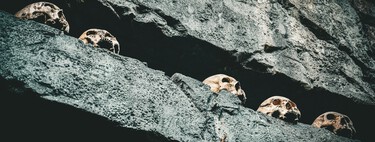 Everything that has improved Belgian gastronomy in the last 40,000 years: a key finding to understand the end of the Neanderthals