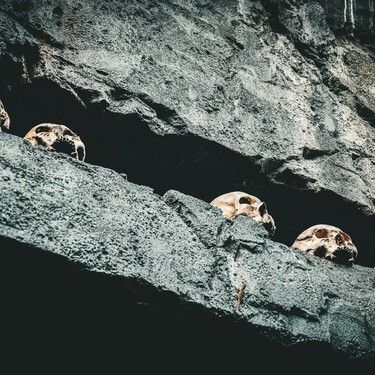 Cada vez que pienses que estás comiendo fatal últimamente, piensa en estos neandertales que se comían a sus vecinos