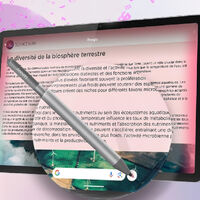 Tablet Lenovo con pantalla 2.5 K y audio Dolby Atmos: hoy tiene casi 2,000 pesos de descuento y meses sin intereses