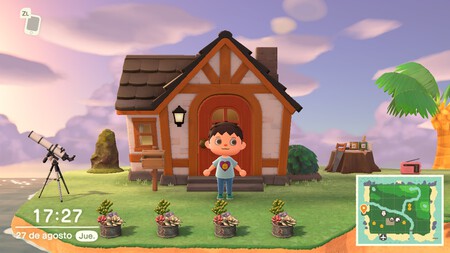 Animal Crossing