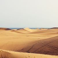 Los autónomos de Canarias y Castilla y León también podrán disfrutar de la extensión en la tarifa plana