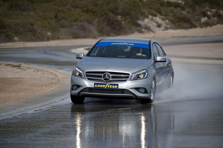 Goodyear EfficientGrip Performance, Neumático del Año