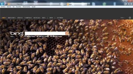 Integración social entre Bing y Facebook ¿Veremos con la búsqueda de imágenes incidencias de privacidad?