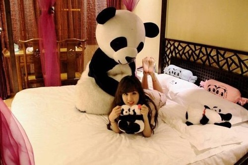 En este hotel los empleados se visten de osos panda para ti