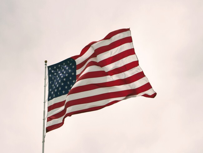 Estados Unidos Bandera