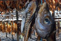 Secaderos de pescado tradicionales en Islandia