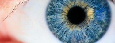 Os olhos azuis não possuem pigmento azul; então, por que os vemos dessa cor? 