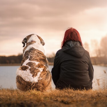 No, las multas por maltratar a un perro no son mayores que por pegar a una mujer