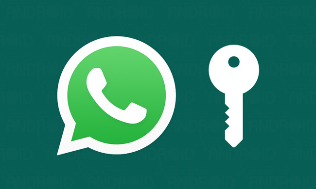 Whatsapp Privacidad