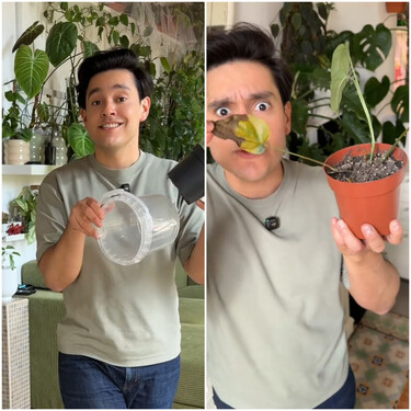 Andrés Alonso, experto en jardinería: "Una maceta demasiado grande hará que la planta invierta todas sus energías en colonizarla"