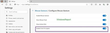 サラウンド副操縦士