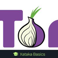 Red TOR: qué es, cómo funciona y cómo se usa