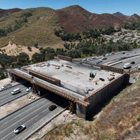 Para pumas, ciervos y serpientes: el puente de 92 millones de dólares que se está construyendo en California para que pase la fauna salvaje 